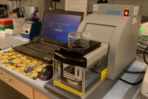 DNA Shearing & Size Selection | Genomics Core | School of Medicine